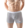 Green Fish Men's Boxer Briefs - Grey