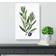 East Urban Home Olive Tree Flowers Illustration White/Green Wall Decor 35.6x50.8cm