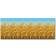 Beistle Decals & Wall Decorations Cornstalks Background 10x76cm