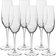 Luigi Bormioli Aero Champagne Glass 23.5cl 6pcs