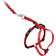 PetSafe Come With Me Kitty Cat Harness & Bungee Leash Large