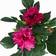 Leaf Dhalia Pink Artificial Plant