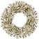 National Tree Company PESL3-307-24W-B White/Green Decoration 24"
