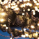 Groundwork Chrissline Extra Black String Light 50 Lamps