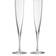 Waterford Elegance Champagne Glass 14.8cl 2pcs