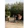 ferm LIVING Pond Black