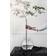 Ernst Glass Clear Vas 37cm