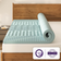 NapQueen Egg-Shell Bed Mattress