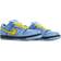 Nike The Powerpuff Girls x Dunk Low Pro SB QS Bubbles - Blue Chill/Deep Royal Blue/Active Pink