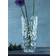 Nachtmann Sculpture Transparent Vas 33cm