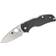 Spyderco C41GP5 Fickkniv