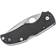 Spyderco C41GP5 Fickkniv