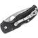 Spyderco C41GP5 Fickkniv