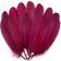 Goose Feathers Burgundy 100-pack