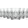 RCR Melodia Whiskey Glass 11.5fl oz 6pcs