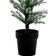 House Doctor Illuminated Flocked Green Julgran 160cm