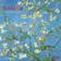 Tushita PaperArt Van Gogh from Vincent's Garden 2025