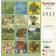Tushita PaperArt Van Gogh from Vincent's Garden 2025