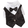 Gentleman Cat Party Suit S