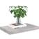 vidaXL 326595 Concrete Grey Væghylde 50cm 2stk