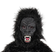 Seasons Kid's Gorilla Costume