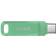 SanDisk Ultra Dual Drive Go Absintgrøn 256GB USB Stick