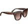 Corlin Eyewear Monza Tortoise Gradual Brown