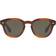 Oliver Peoples Cary Grant Polarized OV5413SU