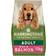 Harringtons Adult Dog Food Salmon and Potato 12kg