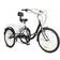 Cutycaty Folding Tricycle for Adults 24" - Black