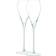 LSA International Prosecco Champagne Glass 25cl 2pcs