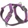 Dog Copenhagen Comfort Walk Air Harness 3.0 L