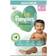 Pampers Harmonie Diapers Size 4 9-14kg 74pcs