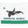 BearLad Washington Republic White/Green Wall Decor 152.4x127cm