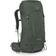 Osprey Kestrel 38 S/M - Bonsai Green