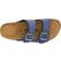 Cruz Whitehill - Golden Root/Classic Blue