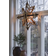 PR Home Mary Natural Advent Star ∅ 82cm
