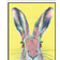 Latitude Run Mad March Hare by Kirstin White Framed Art 101.6x152.4cm