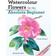 Watercolour Flowers for the Absolute Beginner (Paperback, 2023)