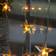 Star Trading Curtain Transparent Ljusslinga 20 Lampor