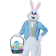 California Costumes Deluxe Easter Bunny Costume Plus Size