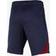 Nike Paris Saint-Germain Strike Dri-FIT Knit Football Shorts