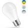 Spectrum Smart Home LED Lamps 13W E27