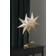 Star Trading Lottie Chrome Julstjärna 75cm