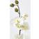 Homescapes Orchid Flowers White Artificial Plant