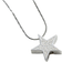 Constantlife Star Cremation Pendant Necklace - Silver