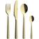 aida Raw Champagne Gold Cutlery Set 24pcs
