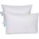 East Coast Bedding Pure Dream Down Pillow (66x50.8)