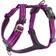 Dog Copenhagen Comfort Walk Air Harness XL