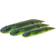 Savage Gear gumov nstraha ned dragon tail slug chartreuse pumpkin 5 ks 8,8 cm 4 g